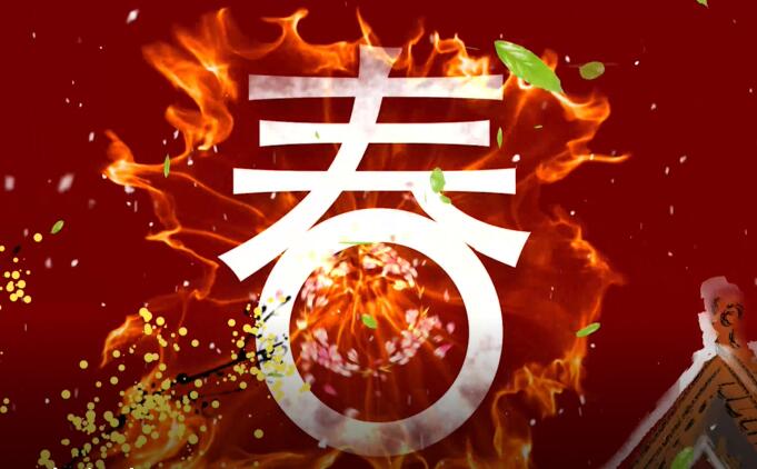 2019江南平台拜年视频